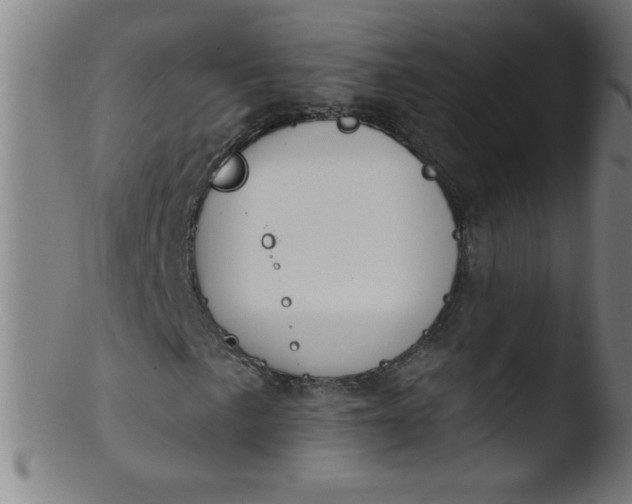 X0000103471057200809261859