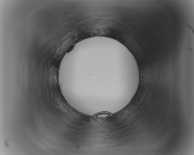 X0000103471058200809261859