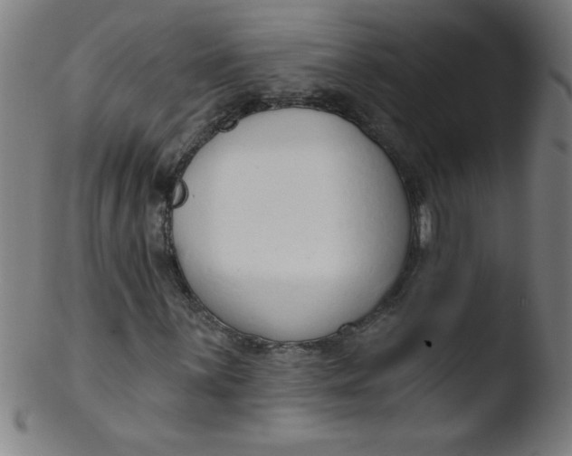 X0000103471059200809261859