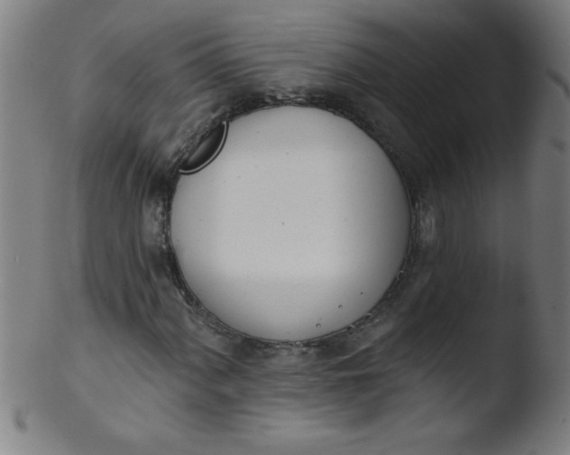 X0000103471060200809261859