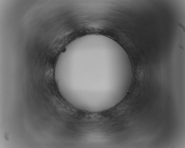 X0000103471061200809261859