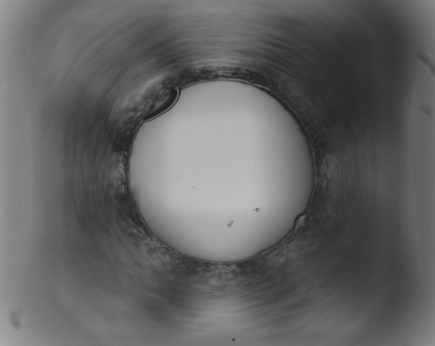 X0000103471062200809261859