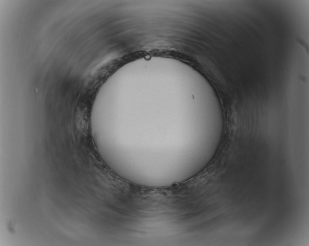 X0000103471063200809261859