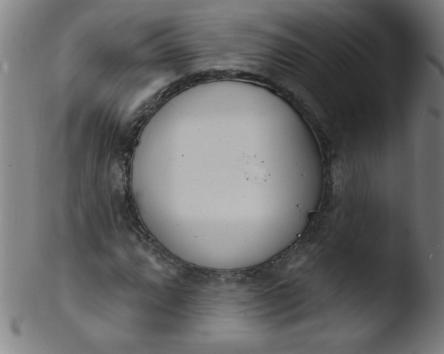 X0000103471064200809261859