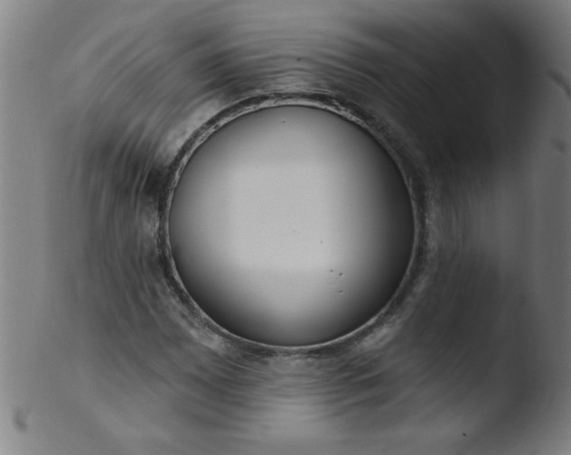 X0000103471065200809261859