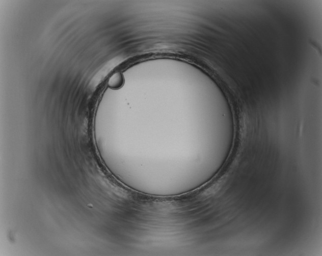 X0000103471066200809261859