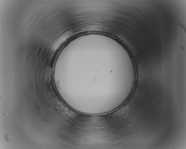 X0000103471067200809261859