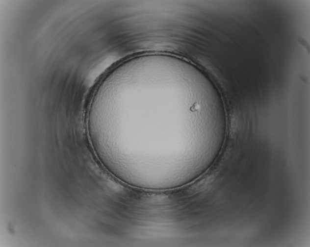 X0000103471071200809261859