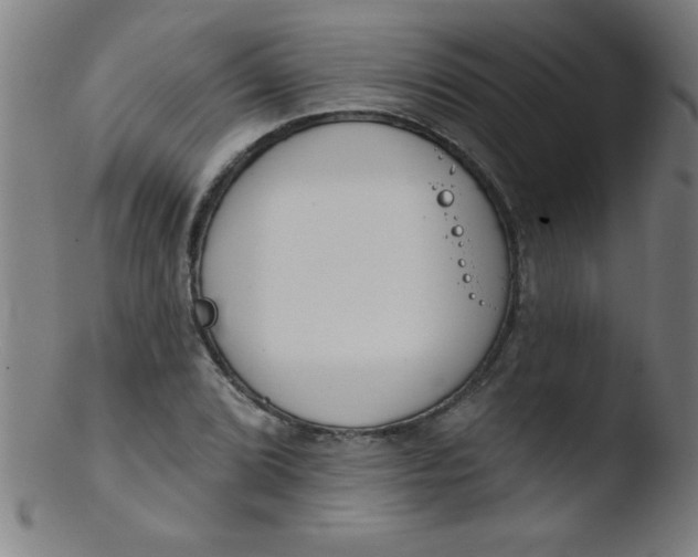 X0000103471072200809261859