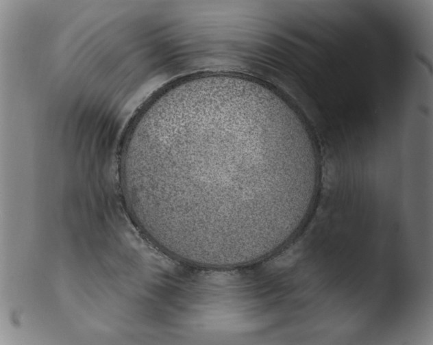 X0000103471074200809261859