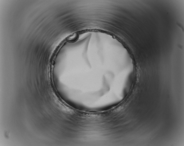 X0000103471076200809261859