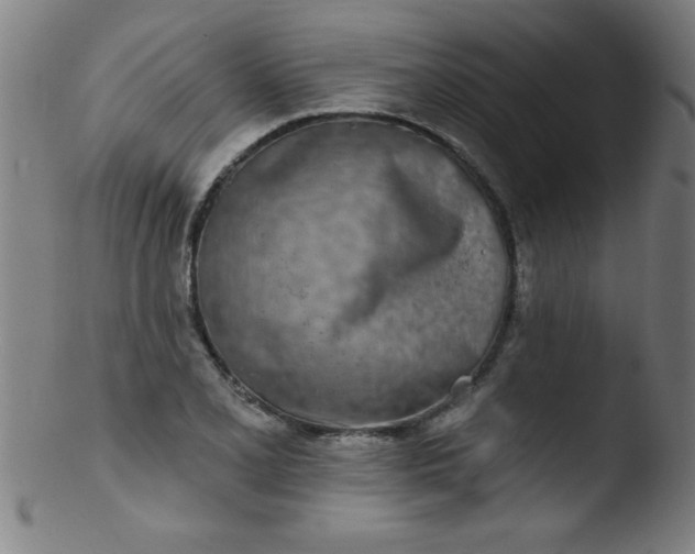 X0000103471077200809261859