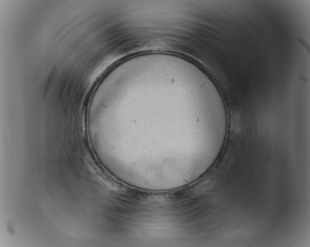 X0000103471078200809261859