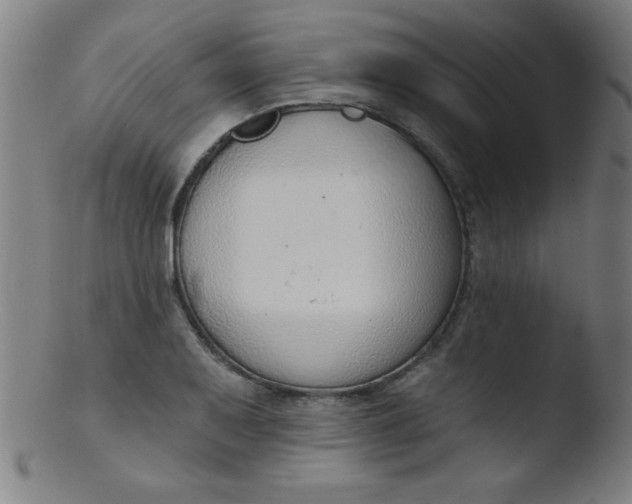 X0000103471079200809261859