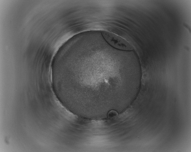 X0000103471080200809261859