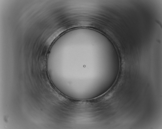 X0000103471081200809261859