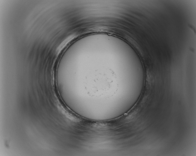 X0000103471082200809261859