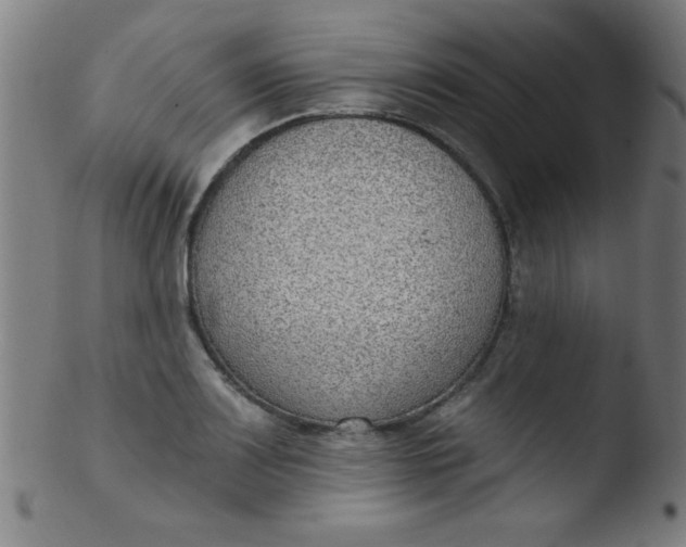 X0000103471083200809261859