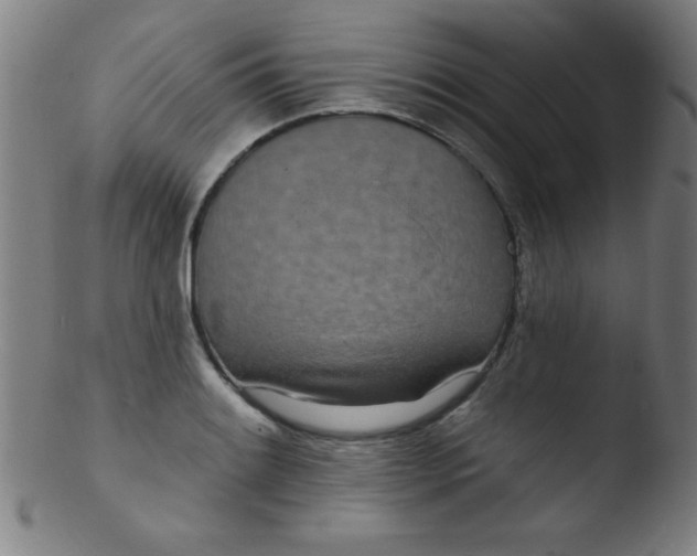 X0000103471084200809261859