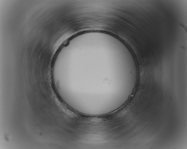 X0000103471085200809261859