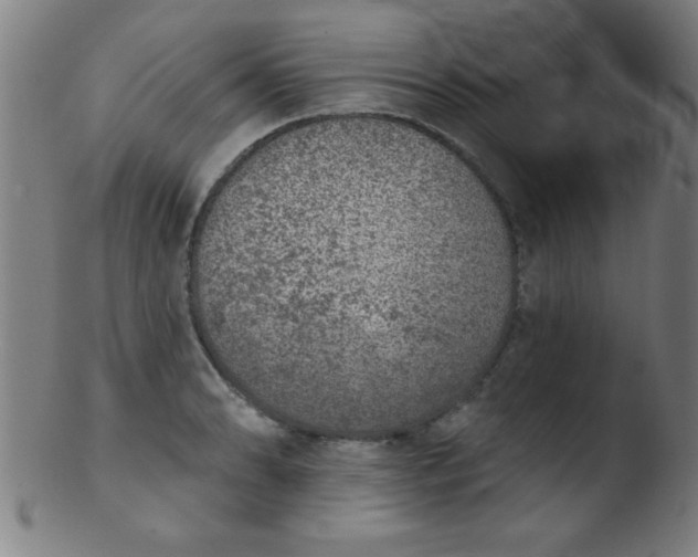 X0000103471086200809261859