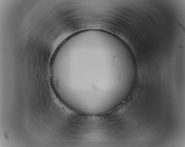 X0000103471088200809261859