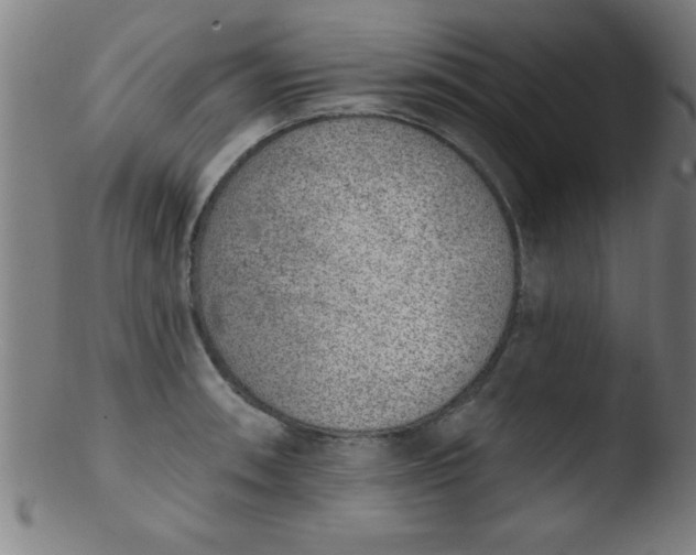 X0000103471090200809261859