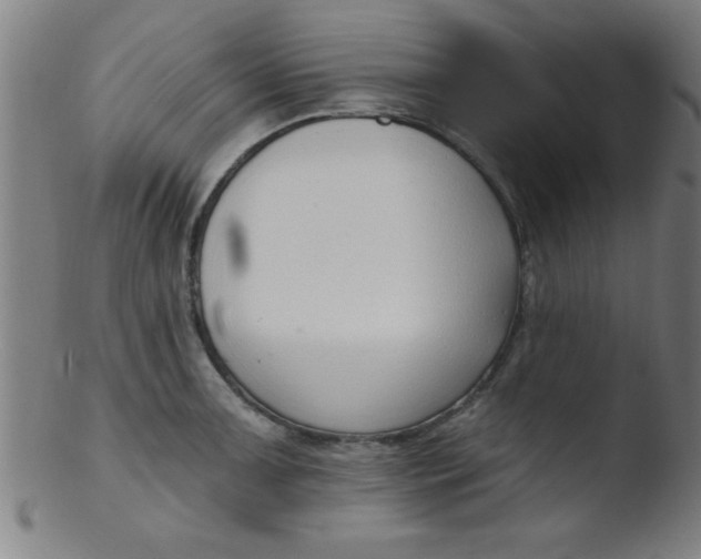 X0000103471091200809261859