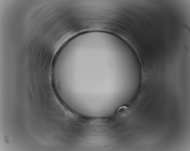 X0000103471093200809261859