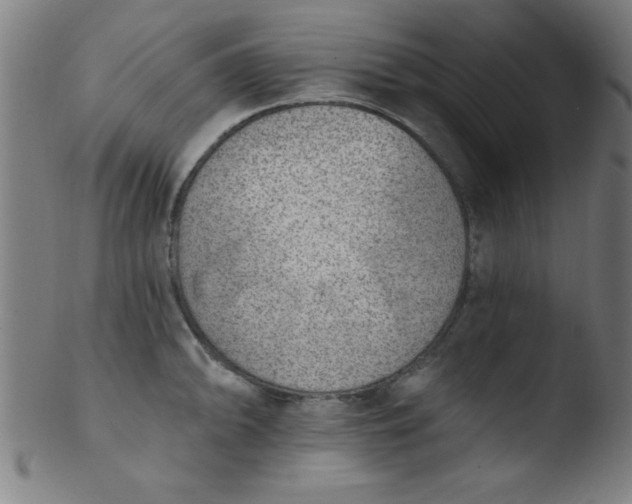 X0000103471094200809261859