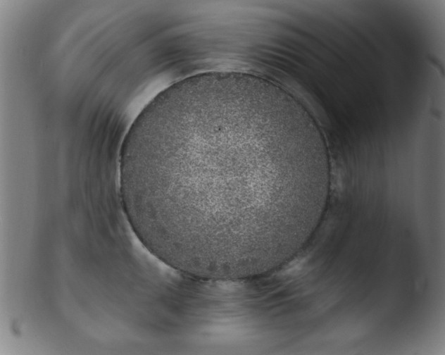 X0000103471095200809261859