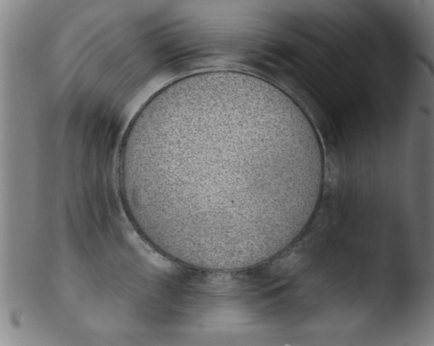 X0000103471098200809261859