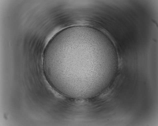 X0000103471099200809261859