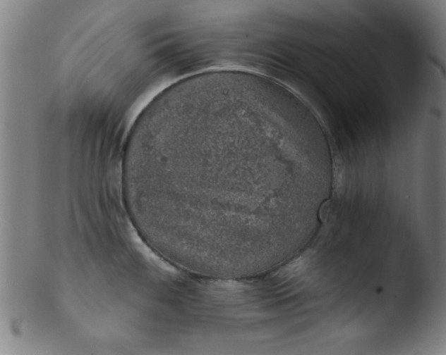 X0000103471100200809261859