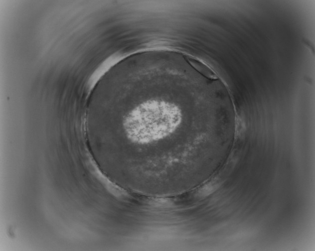 X0000103471101200809261859