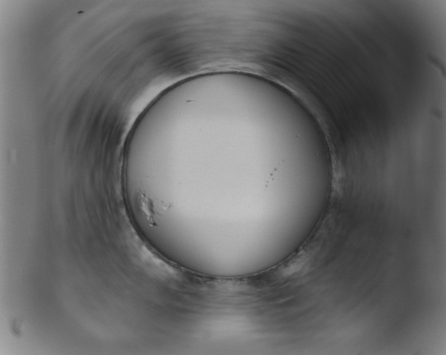 X0000103471102200809261858