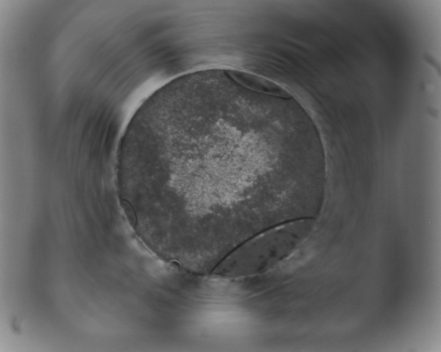 X0000103471104200809261858