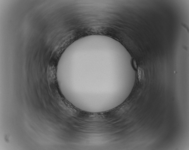 X0000103471107200809261858