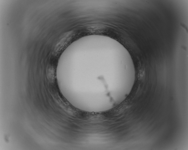 X0000103471108200809261858