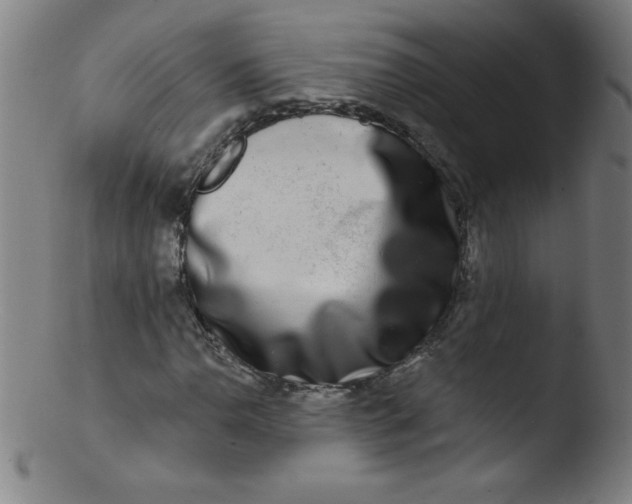 X0000103471110200809261858