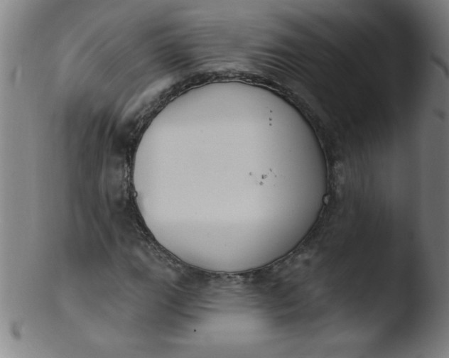 X0000103471111200809261858