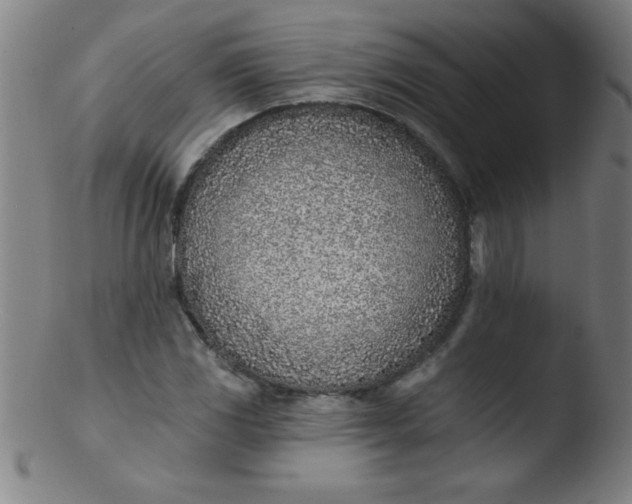 X0000103471117200809261858