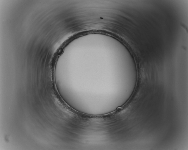 X0000103471118200809261858