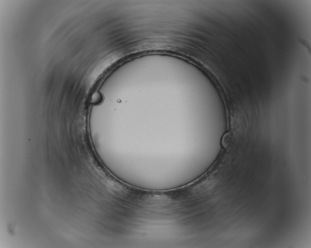 X0000103471119200809261858