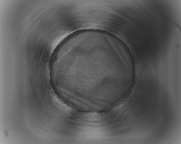 X0000103471120200809261858