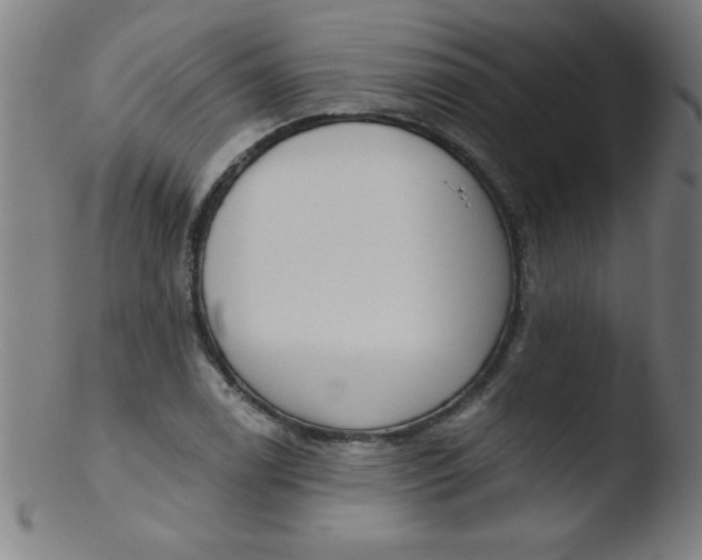 X0000103471122200809261858