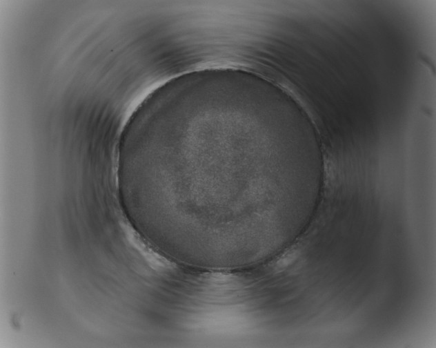 X0000103471124200809261858