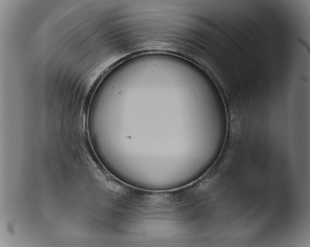 X0000103471125200809261858