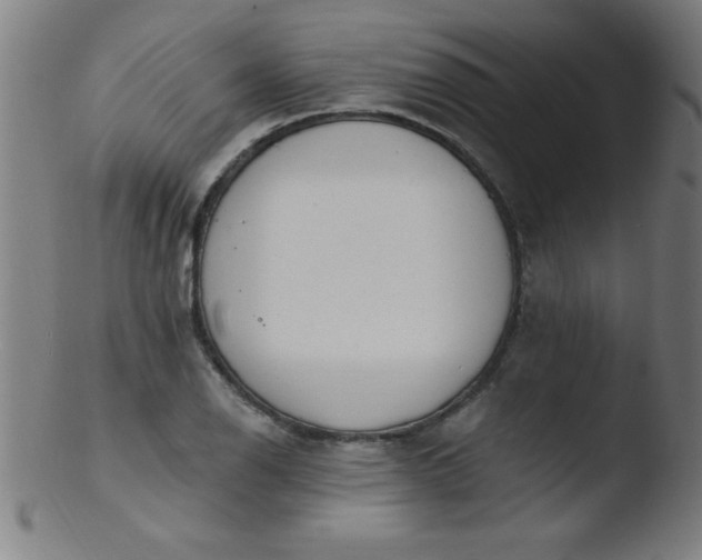 X0000103471126200809261858