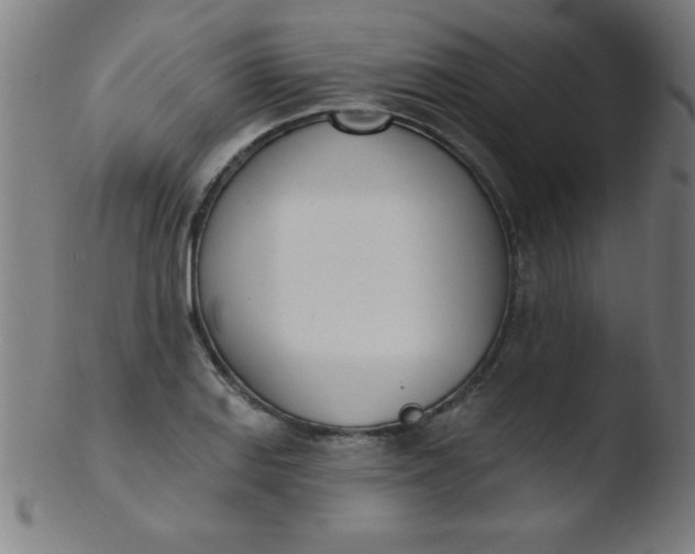 X0000103471127200809261858